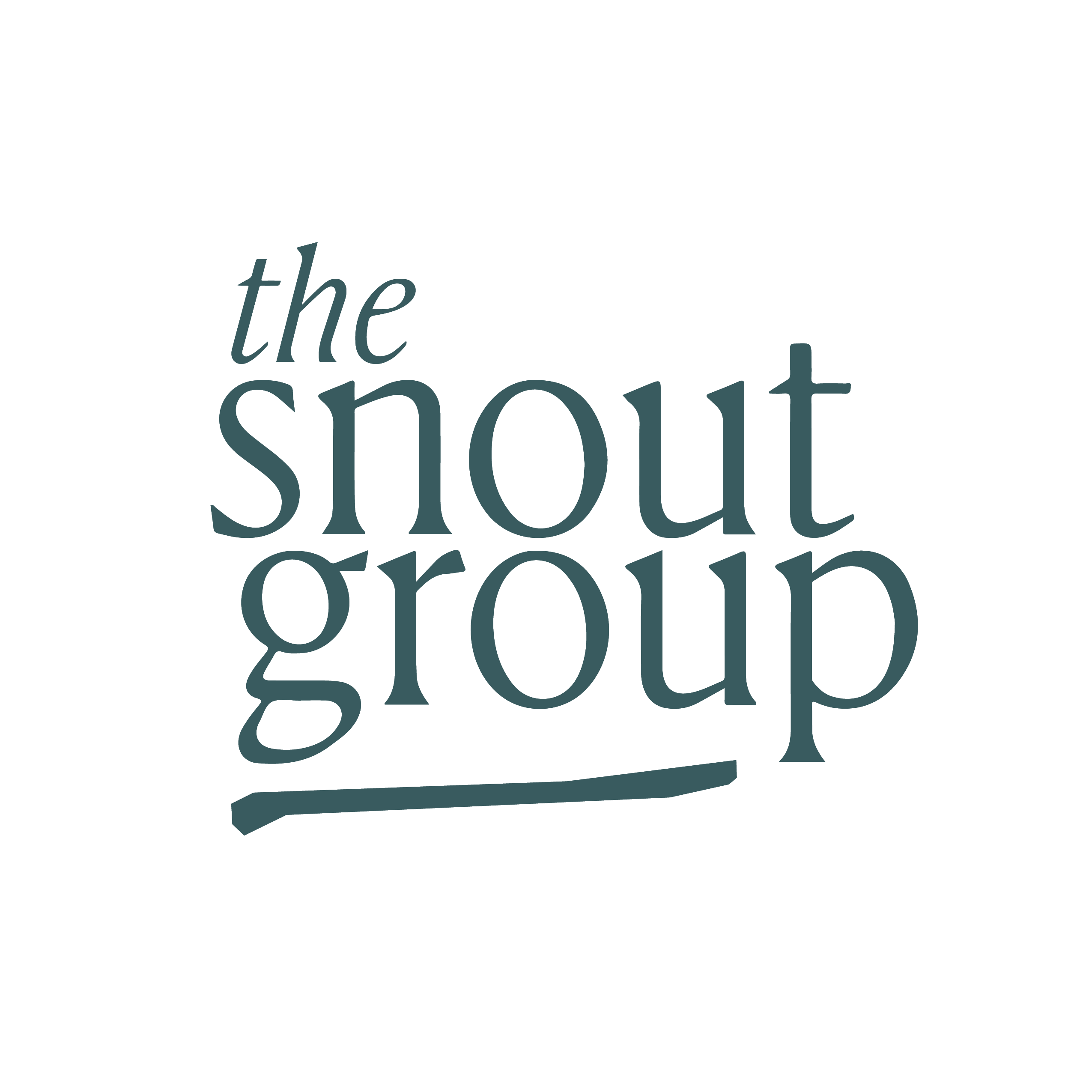 snout group logo